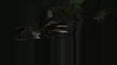 Snapshot of cardie chatting on 05-16-26, 04:09 supersexycardie online show from 05-16-26, 04:09