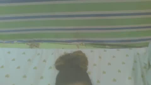 carinesexy69 online show from 10-31-25, 10:16