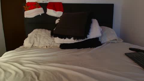 Snapshot of carlbadams96 chatting on 12-31-24, 11:17 sebasfit online show from 12-31-24, 11:17