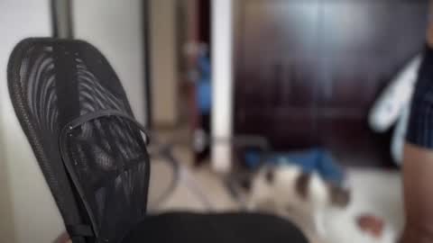 carlcarlinches4 online show from 03-10-25, 02:59