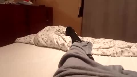 Snapshot of carlitito1 chatting on 10-06-25, 07:17 carlitito1 online show from 10-06-25, 07:17