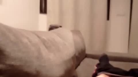 Snapshot of carlitito1 chatting on 10-30-25, 05:35 carlitito1 online show from 10-30-25, 05:35