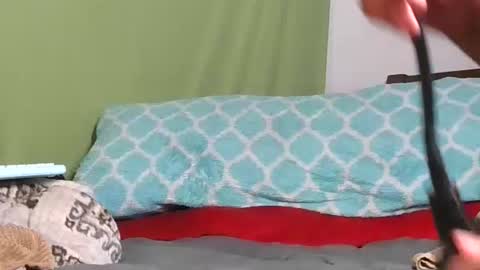 carolinayungin96 online show from 11-11-25, 10:43