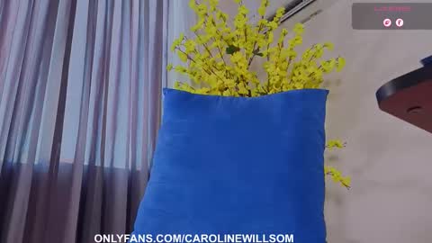  Caroline Willsom  online show from 01-18-26, 10:13