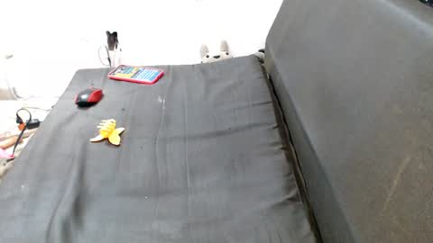 carol my sign is capricorn online show from 12-07-24, 12:41