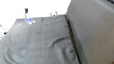 carol my sign is capricorn online show from 12-19-24, 10:53