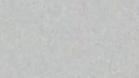  CASEY  online show from 05-17-26, 10:50