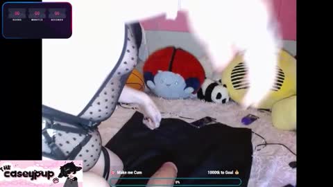 caseypup online show from 12-02-25, 11:56