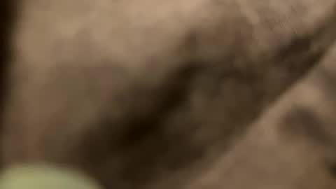 casidy1 online show from 02-02-25, 11:21