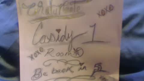 casidy1 online show from 02-04-25, 06:46