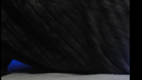 casidy1 online show from 03-06-25, 06:59