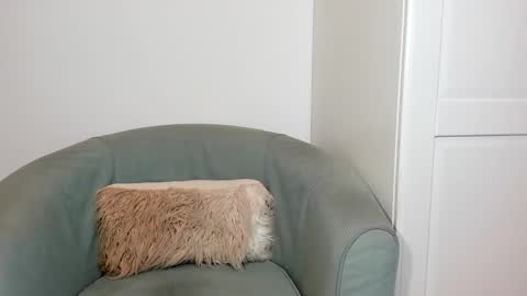 cassiecute - onlyfans account online show from 03-26-26, 08:47