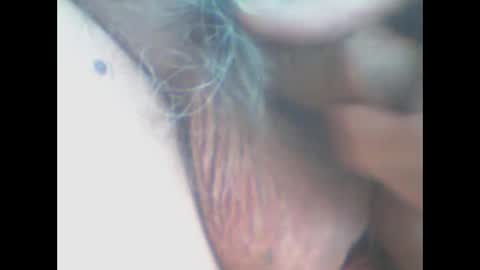 Snapshot of castells chatting on 04-11-26, 04:00 castells online show from 04-11-26, 04:00