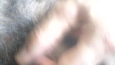 Snapshot of castells chatting on 06-24-26, 02:38 castells online show from 06-24-26, 02:38