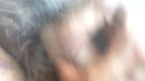 Snapshot of castells chatting on 06-26-26, 03:49 castells online show from 06-26-26, 03:49
