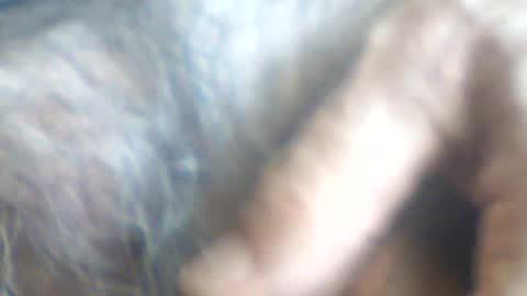 Snapshot of castells chatting on 07-02-26, 02:56 castells online show from 07-02-26, 02:56