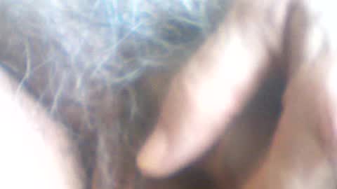 Snapshot of castells chatting on 07-07-26, 02:43 castells online show from 07-07-26, 02:43