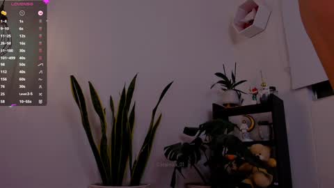 MACARENA online show from 01-06-25, 11:52