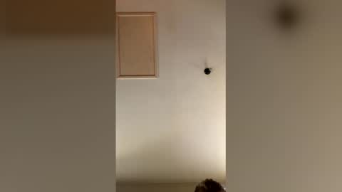 catalin40mosu online show from 04-27-26, 05:05