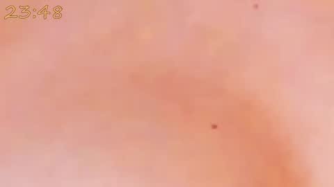    online show from 01-25-25, 06:24