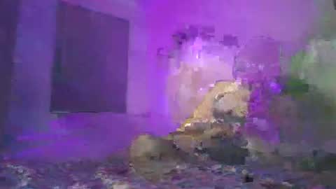 cazrus online show from 02-24-26, 02:48