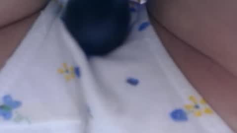 Snapshot of cbz112233 chatting on 02-26-25, 09:27 ANNYANNY online show from 02-26-25, 09:27