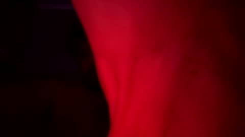 cdcro1986 online show from 06-03-26, 04:37