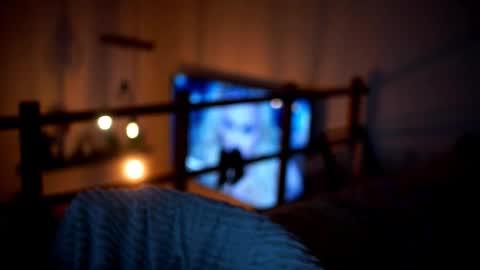 Sunflower  online show from 02-14-26, 05:10