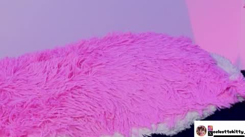 celestte_evans_1 online show from 12-05-25, 07:39