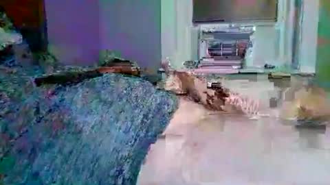 cervixpainter27 online show from 11-03-25, 01:40