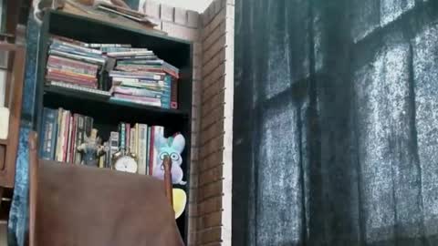 cguffey2284 online show from 02-18-25, 04:05