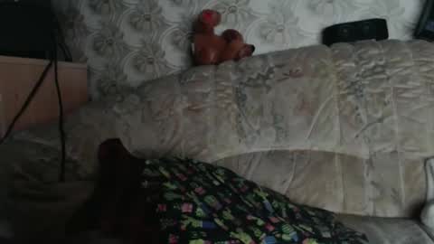 chacoa online show from 01-18-26, 12:09