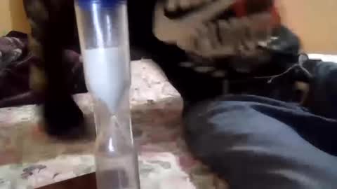 Snapshot of chanok33 chatting on 02-27-25, 05:34 chanok33 online show from 02-27-25, 05:34