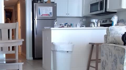 Snapshot of charleyandsmokie chatting on 10-31-25, 05:58 charleyandsmokie online show from 10-31-25, 05:58