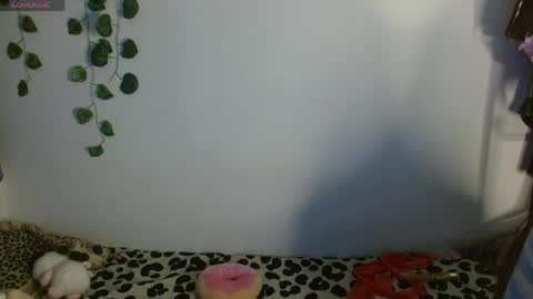 Snapshot of charlotbelucci_ chatting on 05-13-26, 02:53 Ale punky online show from 05-13-26, 02:53