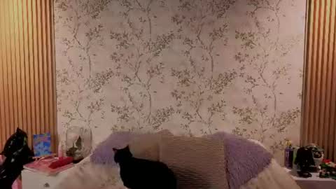 Snapshot of charlote__miller chatting on 07-14-26, 12:00 You honey online show from 07-14-26, 12:00