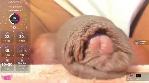 Char online show from 02-25-25, 11:11