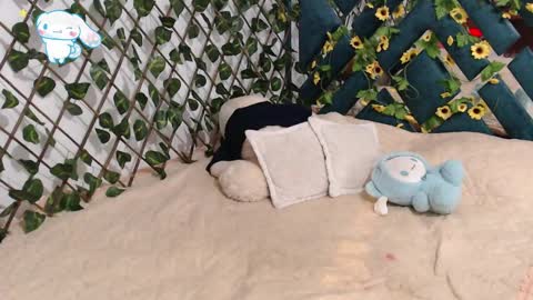 charly_evans60 online show from 02-19-25, 12:14