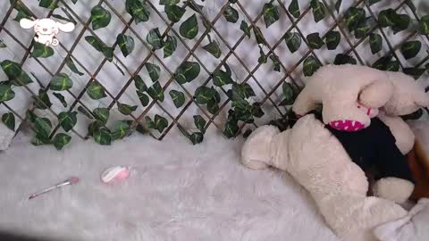 charly_evans60 online show from 02-24-25, 09:52