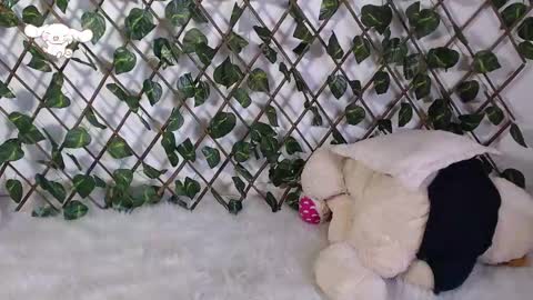 charly_evans60 online show from 02-25-25, 09:57