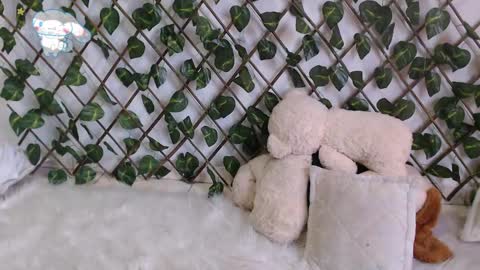 charly_evans60 online show from 02-27-25, 10:09