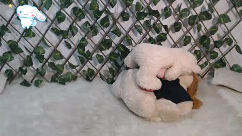 charly_evans60 online show from 03-02-25, 11:09