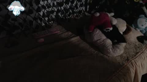 charly_evans60 online show from 03-12-25, 02:41