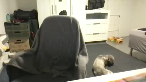 Snapshot of cheftoti chatting on 02-16-25, 07:05 cheftoti online show from 02-16-25, 07:05