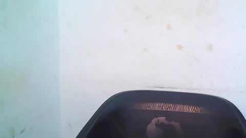 cherryxpussy online show from 05-03-26, 09:15