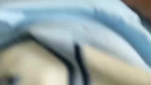 Snapshot of chico18cm5 chatting on 01-31-25, 03:00 domenic online show from 01-31-25, 03:00