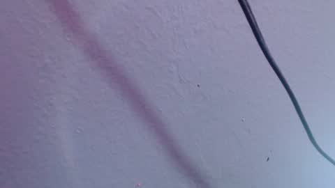 chloe_prg online show from 12-20-24, 07:07