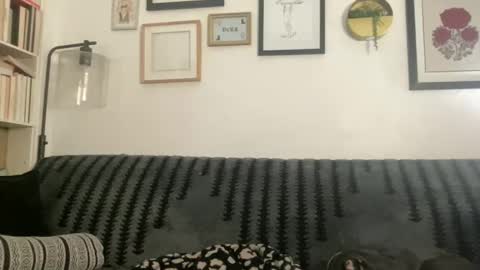 Snapshot of chloe_stella chatting on 12-24-24, 08:22 Chloe online show from 12-24-24, 08:22