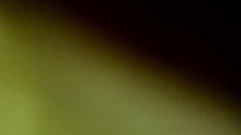 ChloeeThompson online show from 09-20-25, 02:56