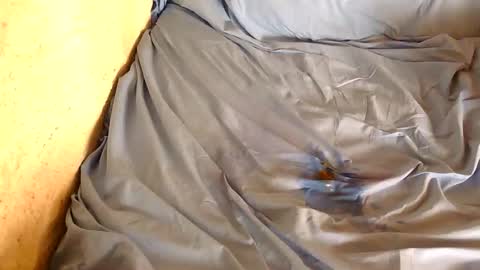 Snapshot of chpoor chatting on 02-28-25, 03:04 davenz online show from 02-28-25, 03:04